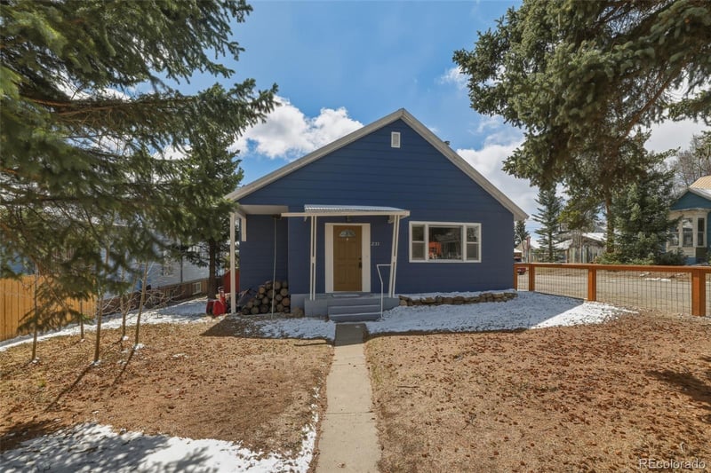 231 W 8th St, Leadville, CO 80461
