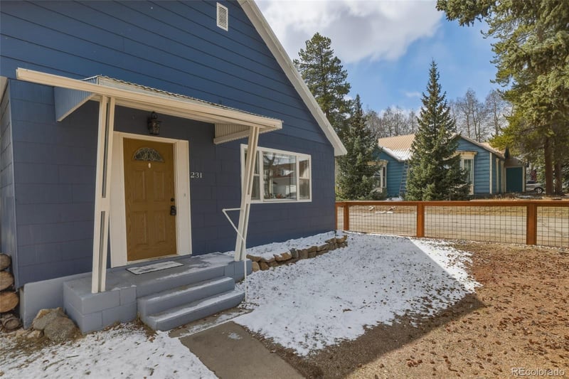 231 W 8th St, Leadville, CO 80461