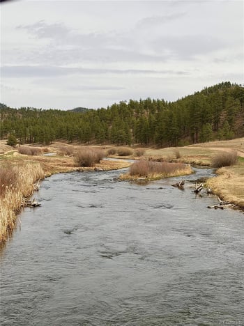 159 Platte Rd, Lake George, CO 80827