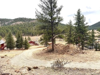 159 Platte Rd, Lake George, CO 80827