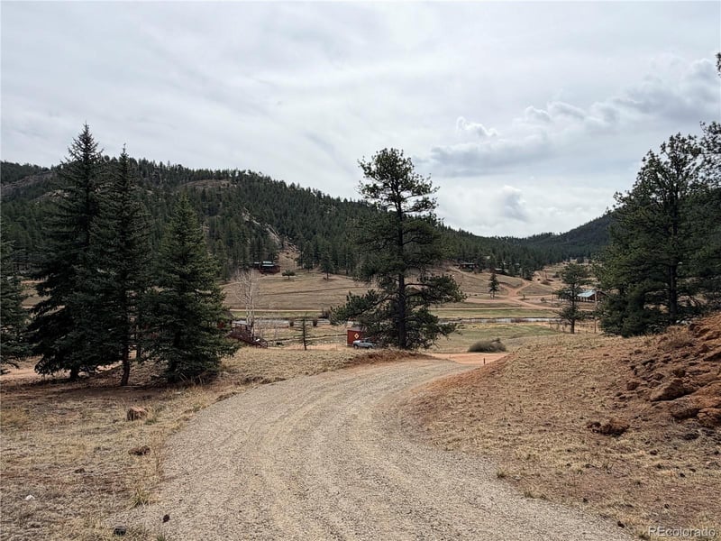 159 Platte Rd Lot 8, Lake George, CO 80827