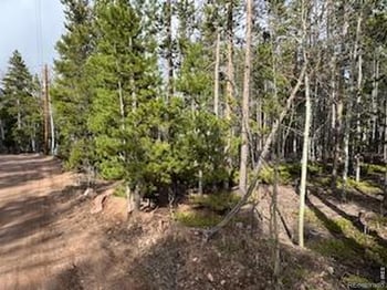 2581 Shoshoni Dr, Red Feather Lakes, CO 80545
