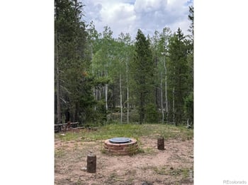 2581 Shoshoni Dr, Red Feather Lakes, CO 80545