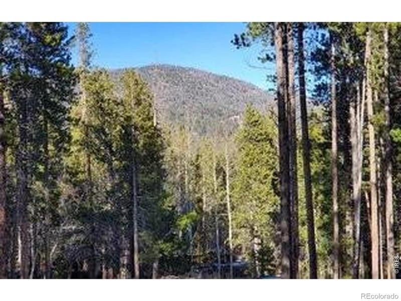 2581 Shoshoni Dr, Red Feather Lakes, CO 80545