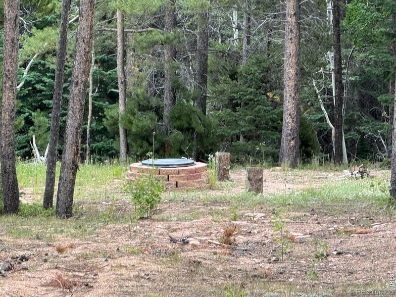 2581 Shoshoni Dr, Red Feather Lakes, CO 80545