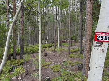 2581 Shoshoni Dr, Red Feather Lakes, CO 80545