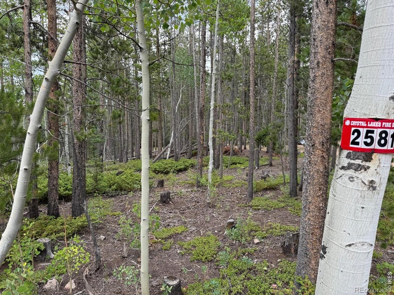 2581 Shoshoni Dr, Red Feather Lakes, CO 80545