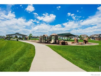 479 Mt Belford Dr, Severance, CO 80550