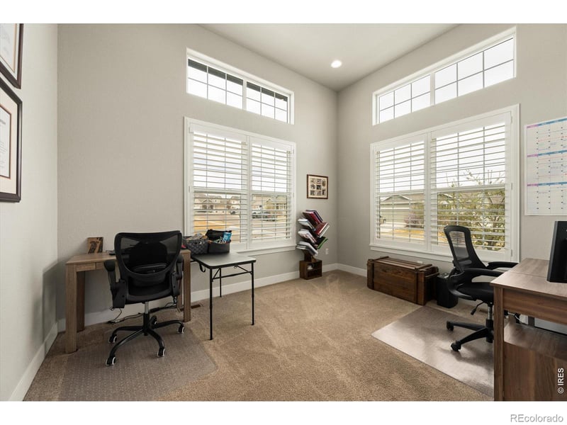 479 Mt Belford Dr, Severance, CO 80550