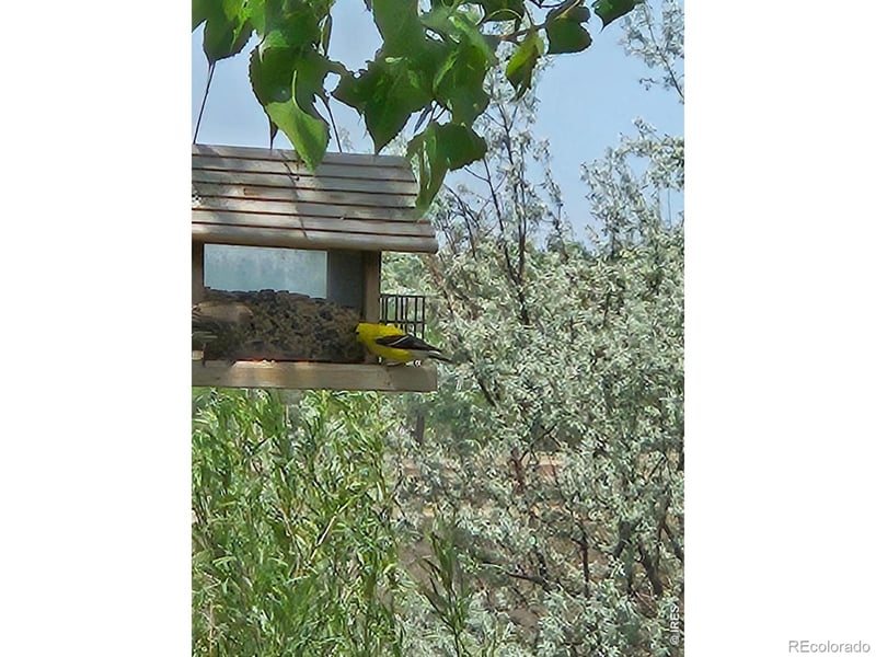 317 Sunset Dr, La Salle, CO 80645