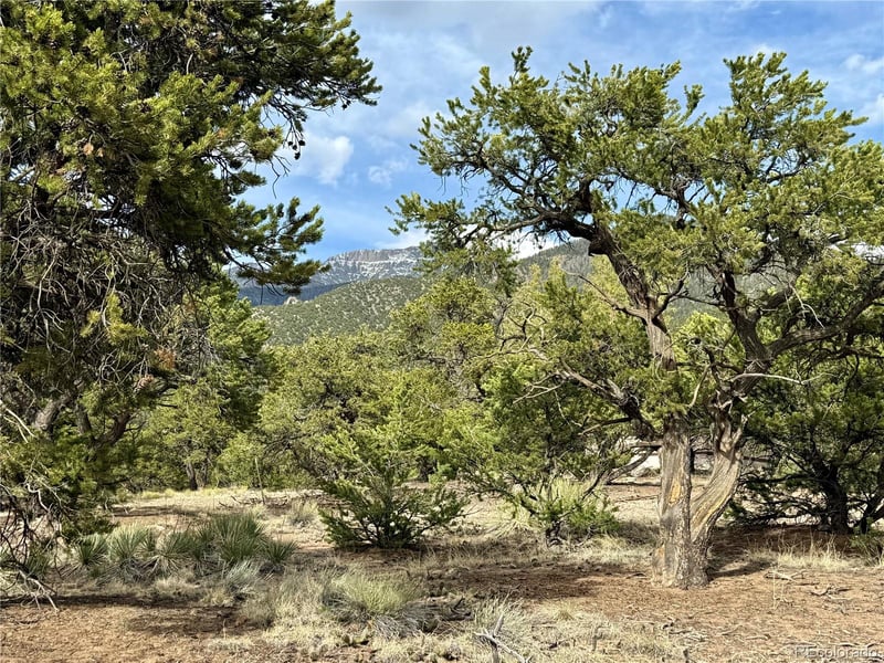 3503 Bivouac Overlook, Crestone, CO 81131
