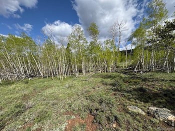 137 Cimarron Rd, Red Feather Lakes, CO 80545