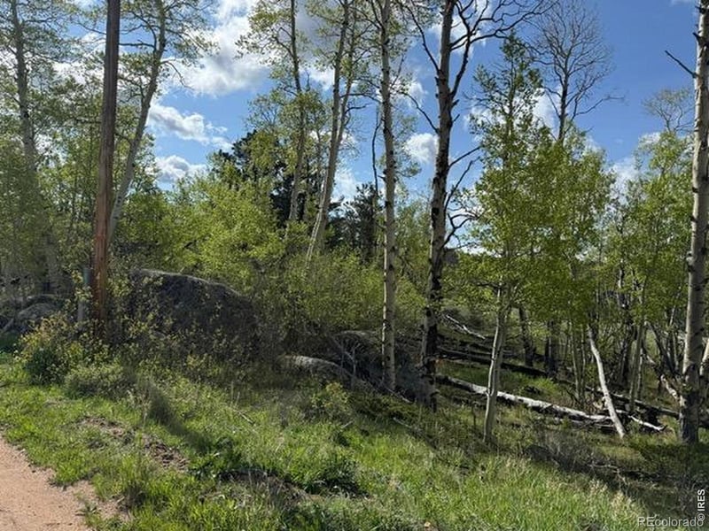 137 Cimarron Rd, Red Feather Lakes, CO 80545