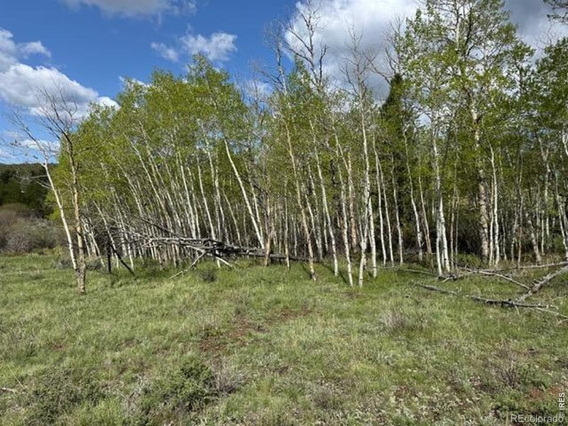 137 Cimarron Rd, Red Feather Lakes, CO 80545