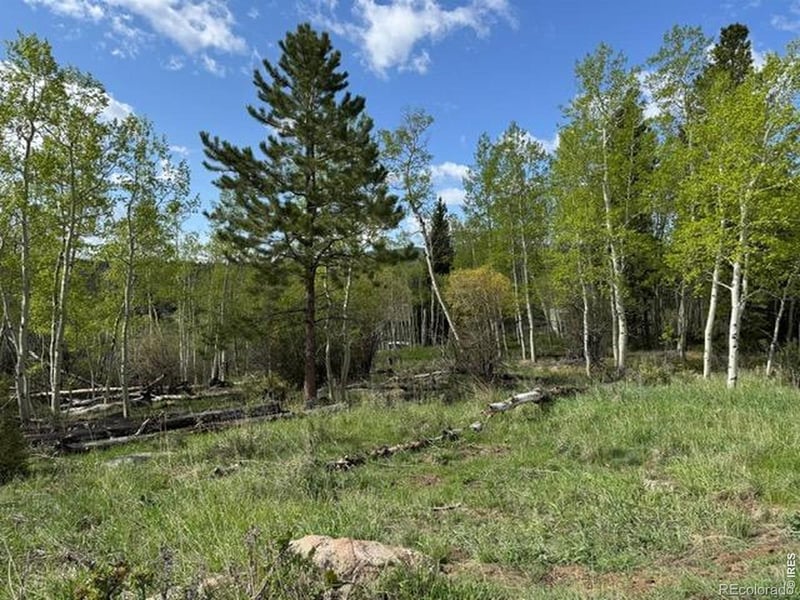 137 Cimarron Rd, Red Feather Lakes, CO 80545