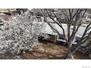 1304 Elm Ave, Loveland, CO 80537