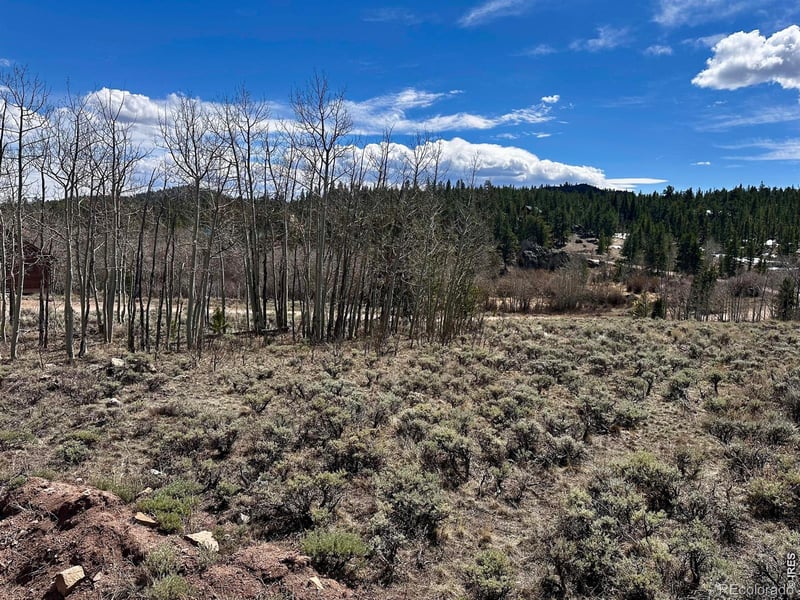 43 Chetco Ct, Red Feather Lakes, CO 80545