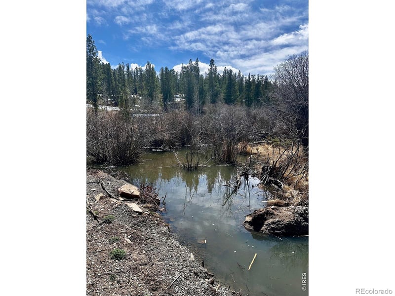 43 Chetco Ct, Red Feather Lakes, CO 80545