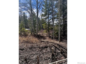 43 Chetco Ct, Red Feather Lakes, CO 80545