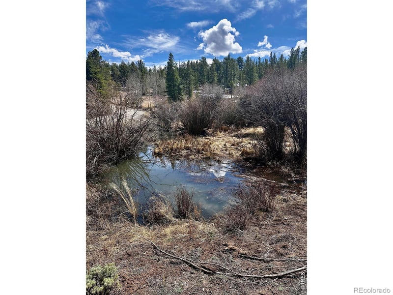 43 Chetco Ct, Red Feather Lakes, CO 80545