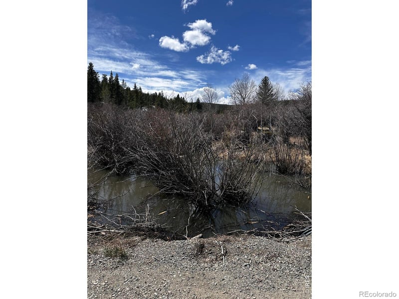 43 Chetco Ct, Red Feather Lakes, CO 80545