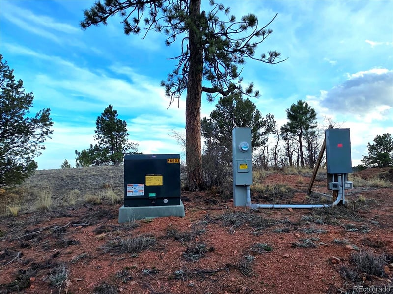 204 Pine Rd, Florissant, CO 80816