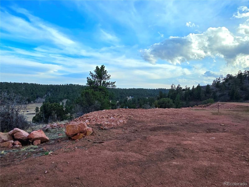 204 Pine Rd, Florissant, CO 80816