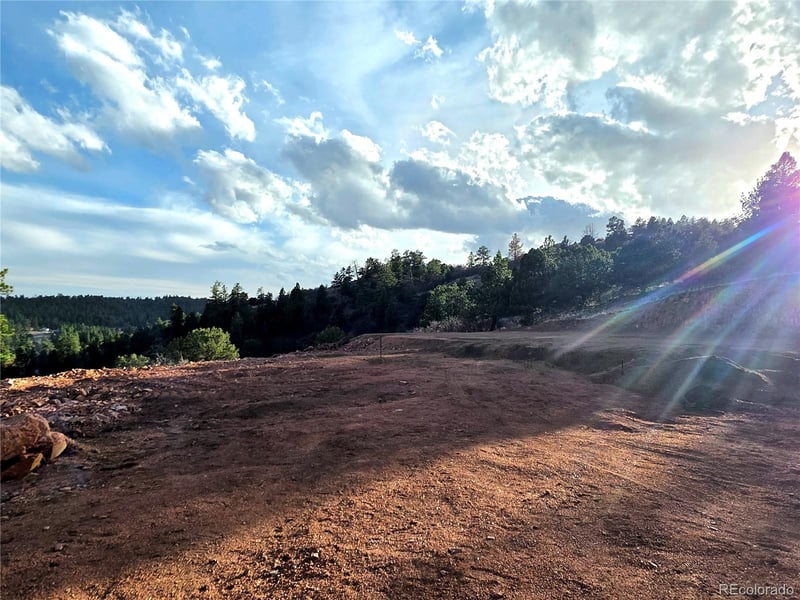 204 Pine Rd, Florissant, CO 80816