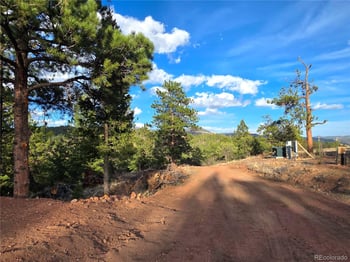 204 Pine Rd, Florissant, CO 80816