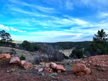 204 Pine Rd, Florissant, CO 80816