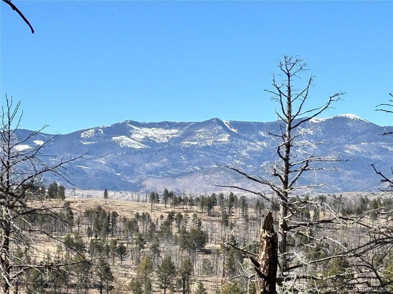 00 Marriot Cir, Fort Garland, CO 81133