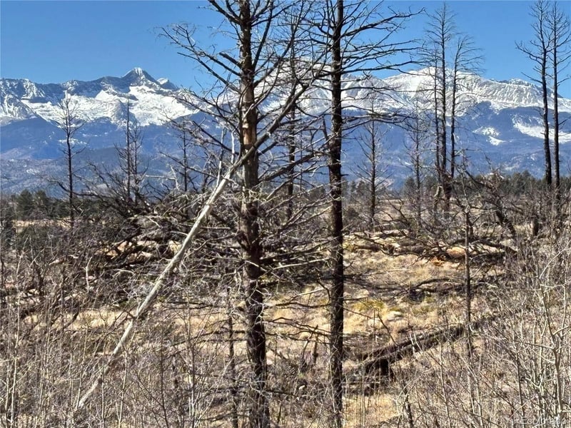 00 Marriot Cir, Fort Garland, CO 81133