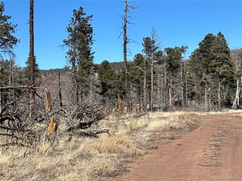 00 Marriot Cir, Fort Garland, CO 81133