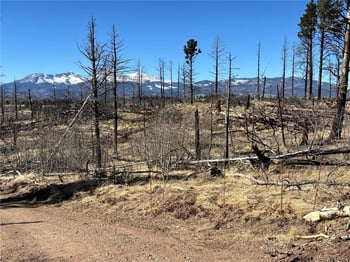 00 Marriot Cir, Fort Garland, CO 81133