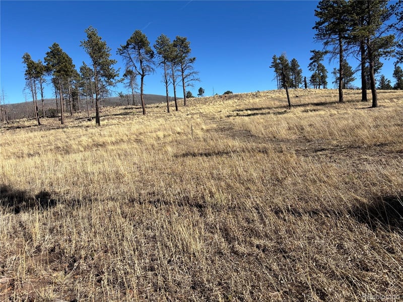 00 Hart Ln, Fort Garland, CO 81133
