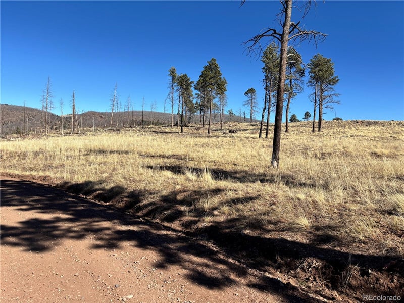 00 Hart Ln, Fort Garland, CO 81133