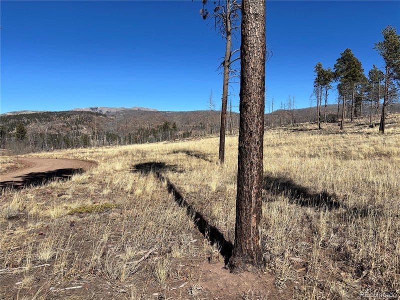 00 Hart Ln, Fort Garland, CO 81133