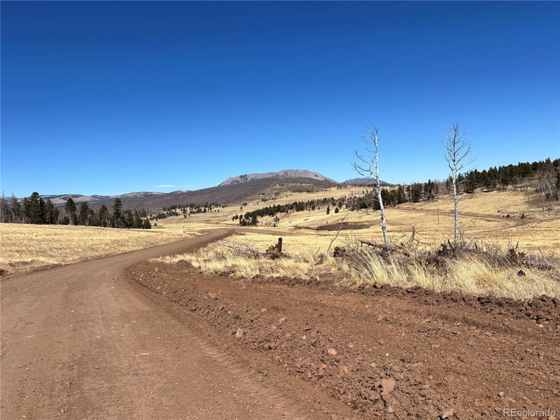 00 Forbes Park Rd, Fort Garland, CO 81133