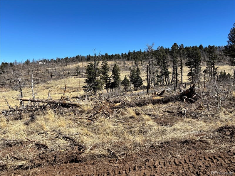 00 Forbes Park Rd, Fort Garland, CO 81133