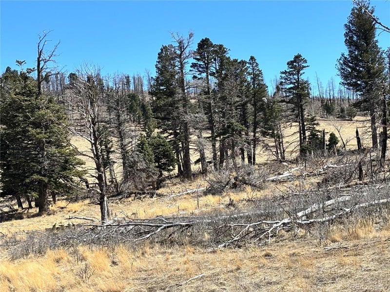 00 Forbes Park Rd, Fort Garland, CO 81133