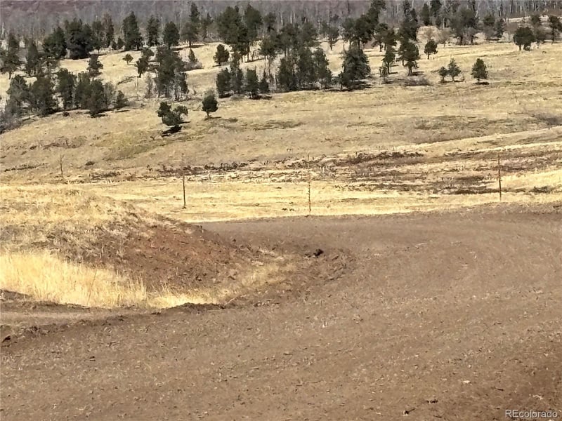 00 Forbes Park Rd, Fort Garland, CO 81133