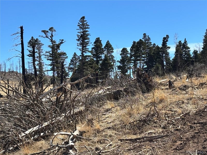 00 Forbes Park Rd, Fort Garland, CO 81133