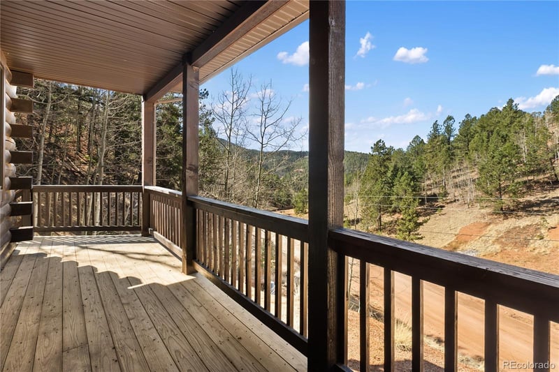 60 Beaver Pond Rd, Divide, CO 80814