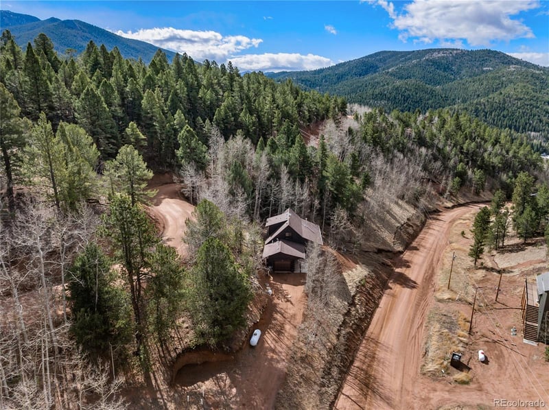 60 Beaver Pond Rd, Divide, CO 80814
