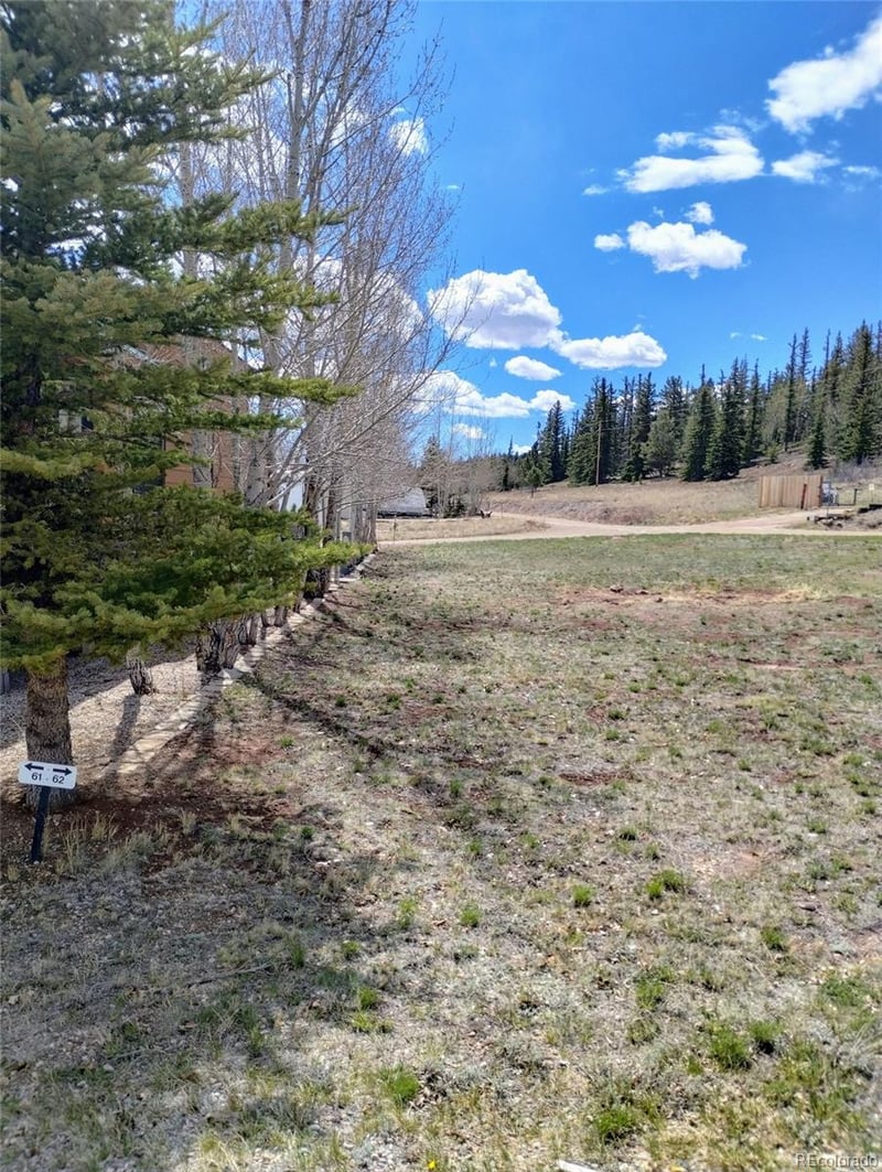 122 Coach Ln, Hartsel, CO 80449