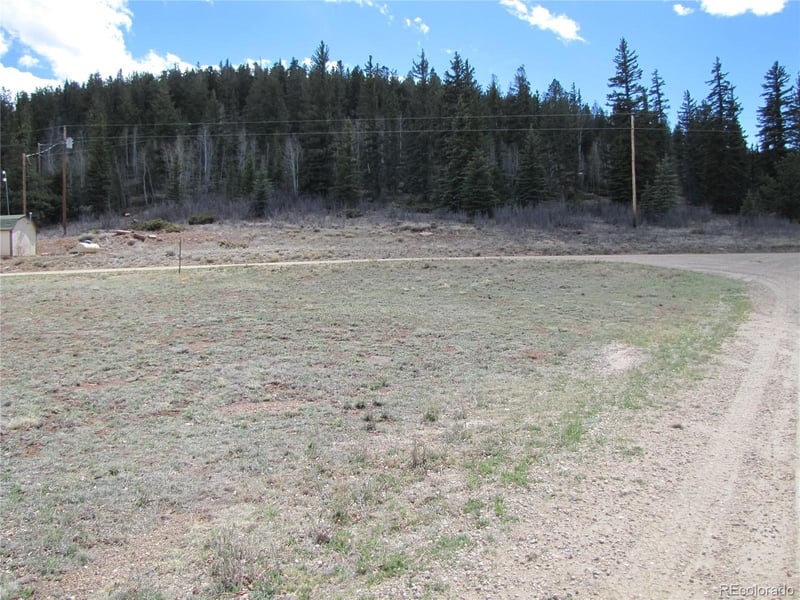 122 Coach Ln, Hartsel, CO 80449