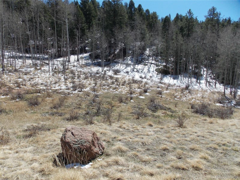 388 Grey Eagle Dr, Cripple Creek, CO 80813