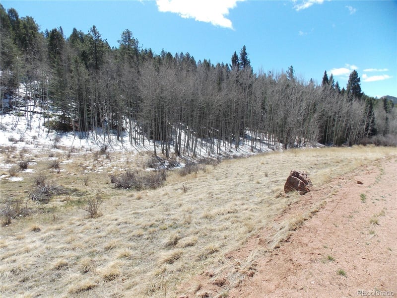 388 Grey Eagle Dr, Cripple Creek, CO 80813