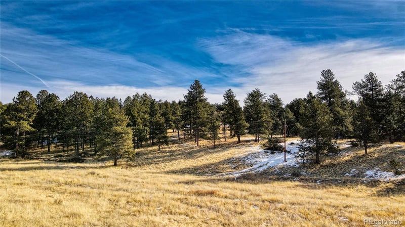 150 High Pasture Rd, Florissant, CO 80816