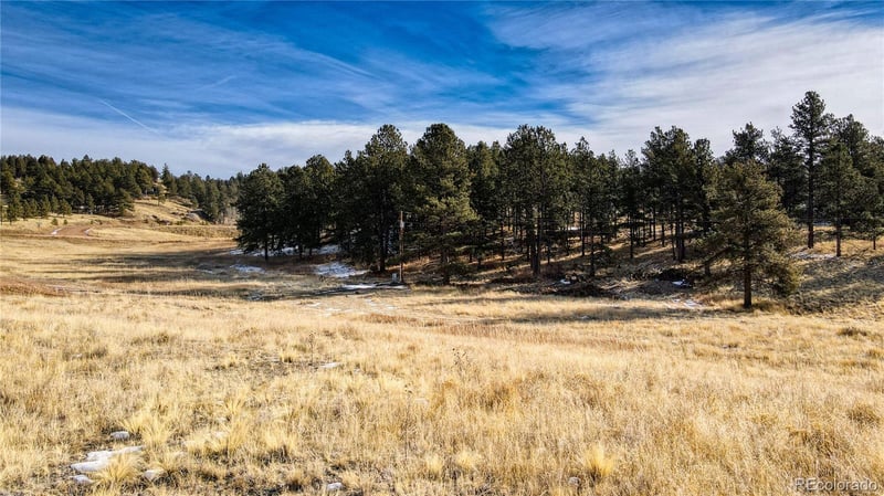 150 High Pasture Rd, Florissant, CO 80816